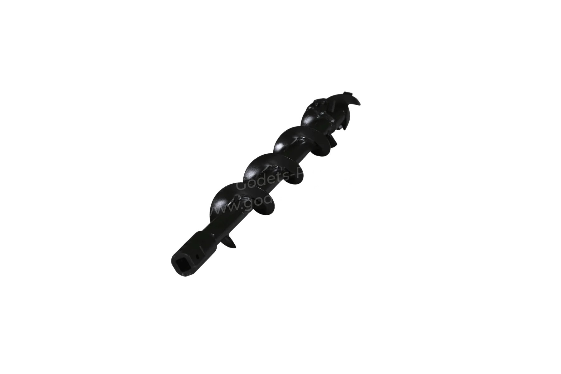 06 filigrane