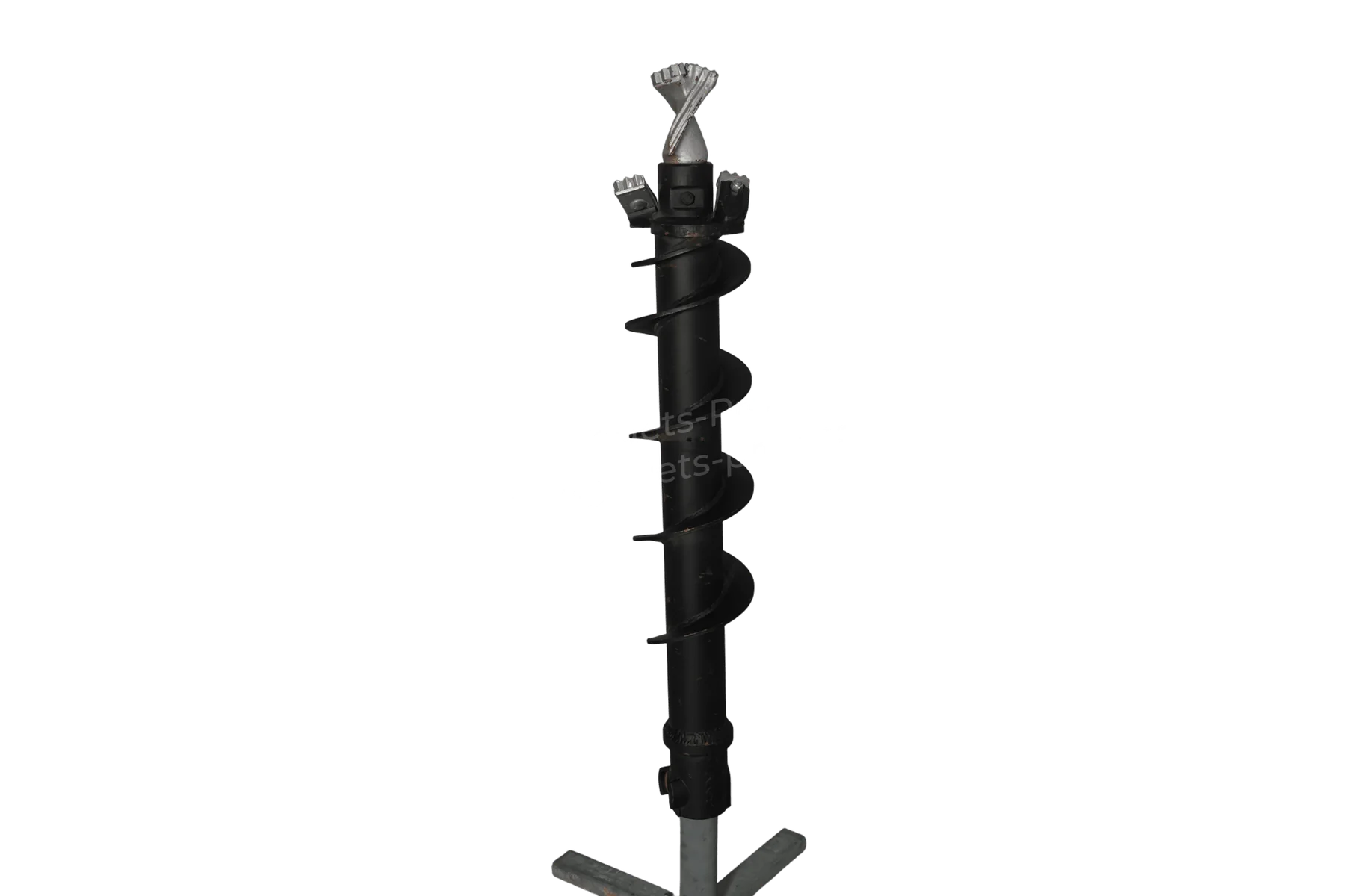 03 filigrane