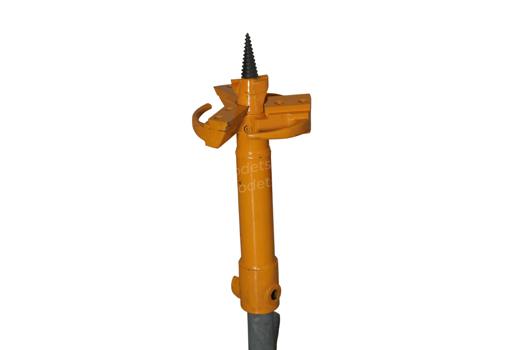 03 filigrane