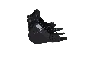 04 filigrane.webp