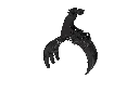 03 filigrane (1).webp