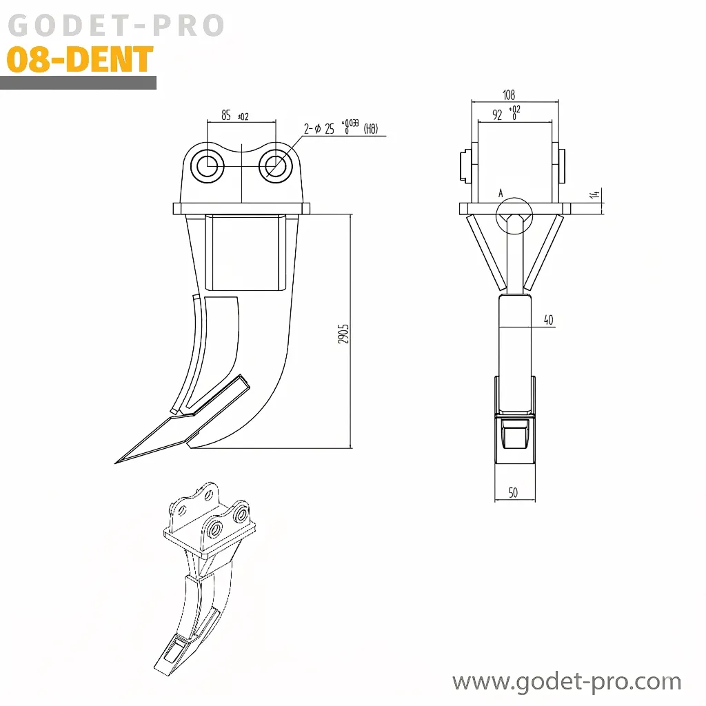 08-DENT.webp