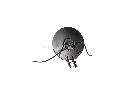 DSC01969.webp