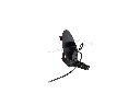 DSC01967.webp