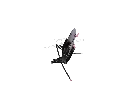 DSC01973.webp