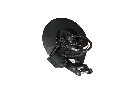13.webp
