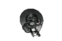 14.webp