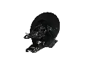 17.webp