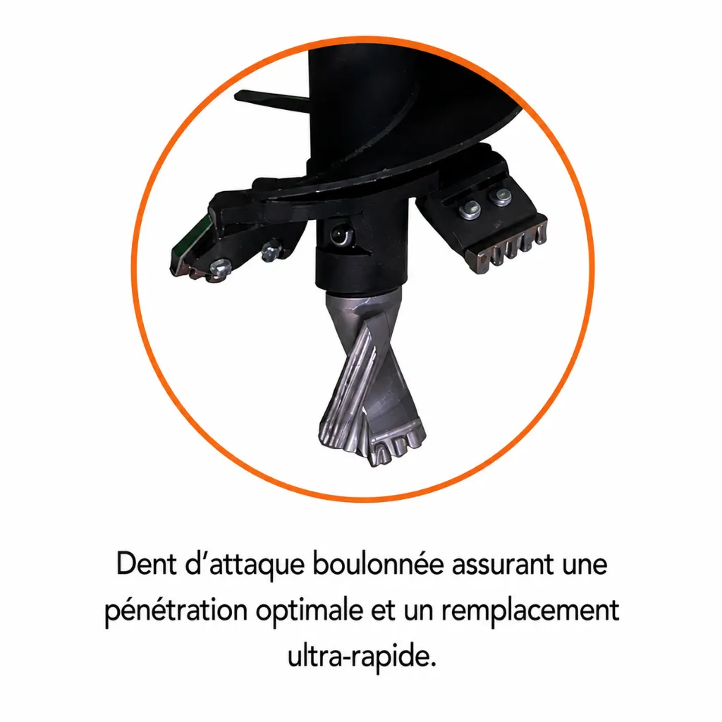 dents d'attaques.webp